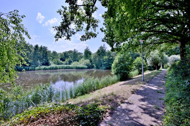 Foto 43 van Esdoornlaan 28