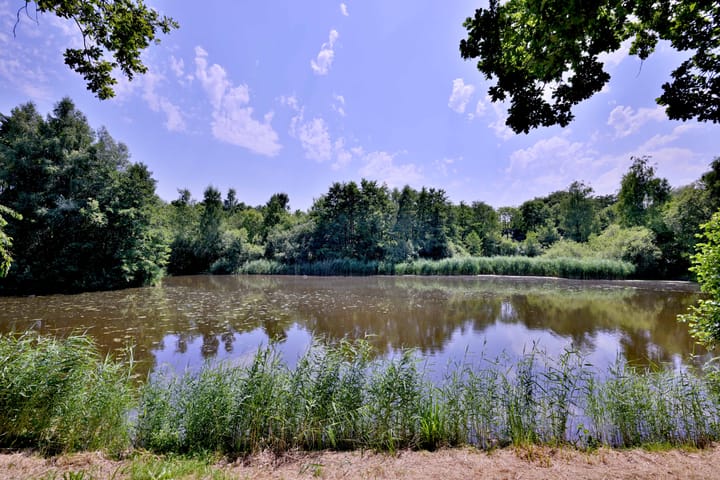 Foto 44 van Esdoornlaan 28