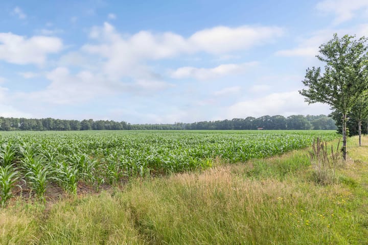 Foto 50 van Binnenweg 12