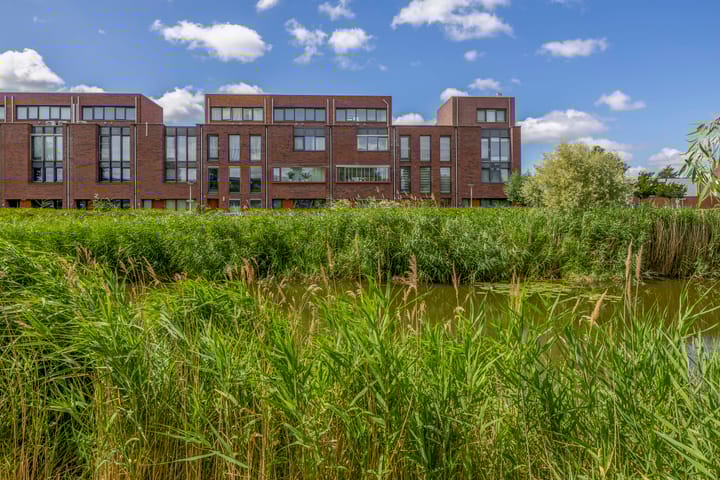 Photo 8 of Lelietuin 3