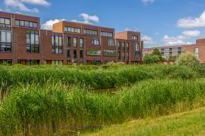 Photo 10 of Lelietuin 3