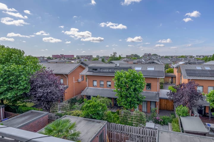 Photo 64 of Lelietuin 3