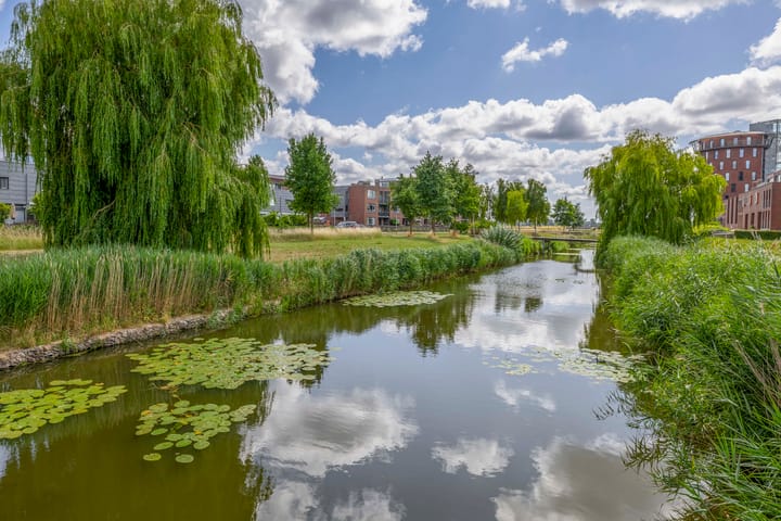 Photo 65 of Lelietuin 3