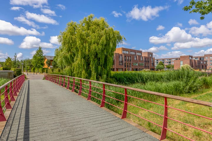 Photo 66 of Lelietuin 3