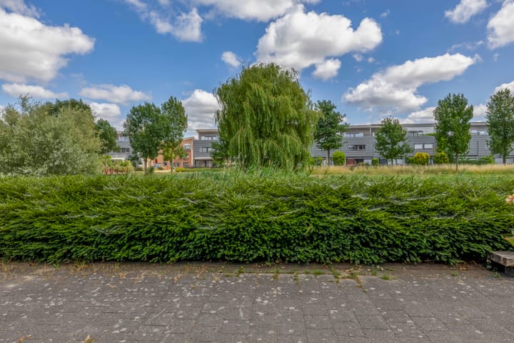 Photo 67 of Lelietuin 3