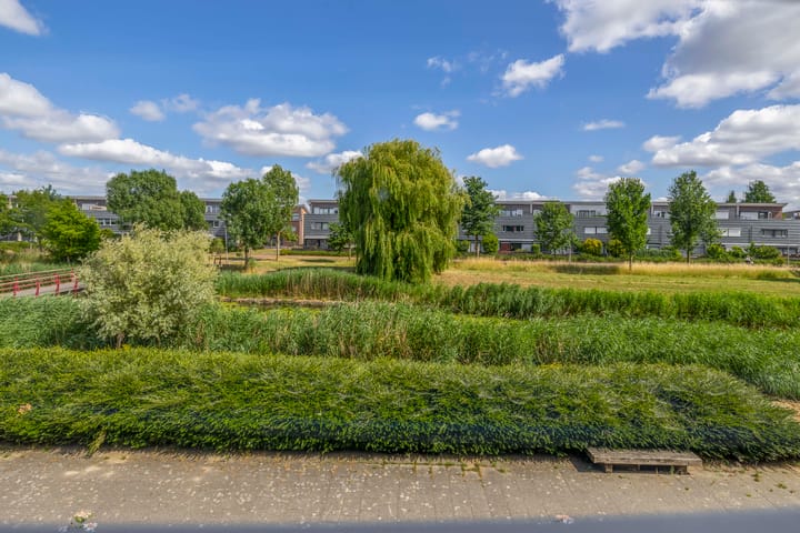 Photo 68 of Lelietuin 3