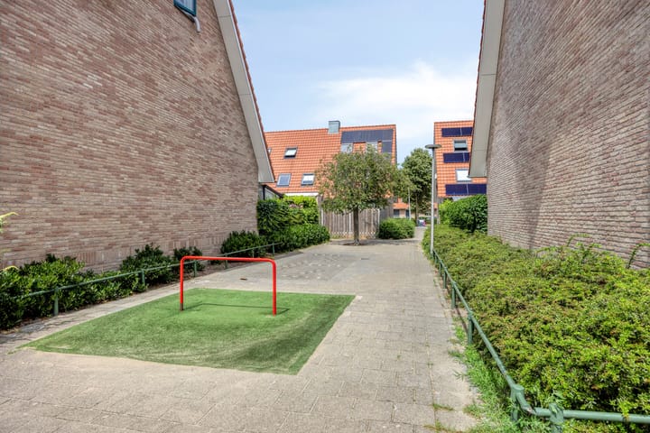 Photo 29 of Boekweitakker 7