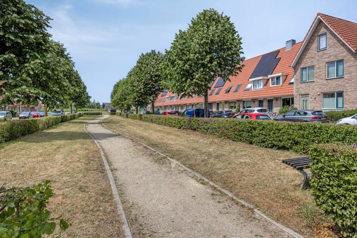 Photo 30 of Boekweitakker 7