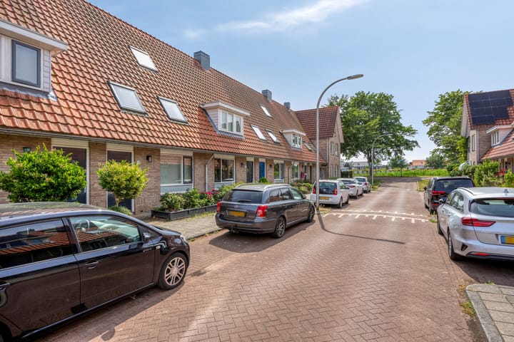 Photo 36 of Boekweitakker 7