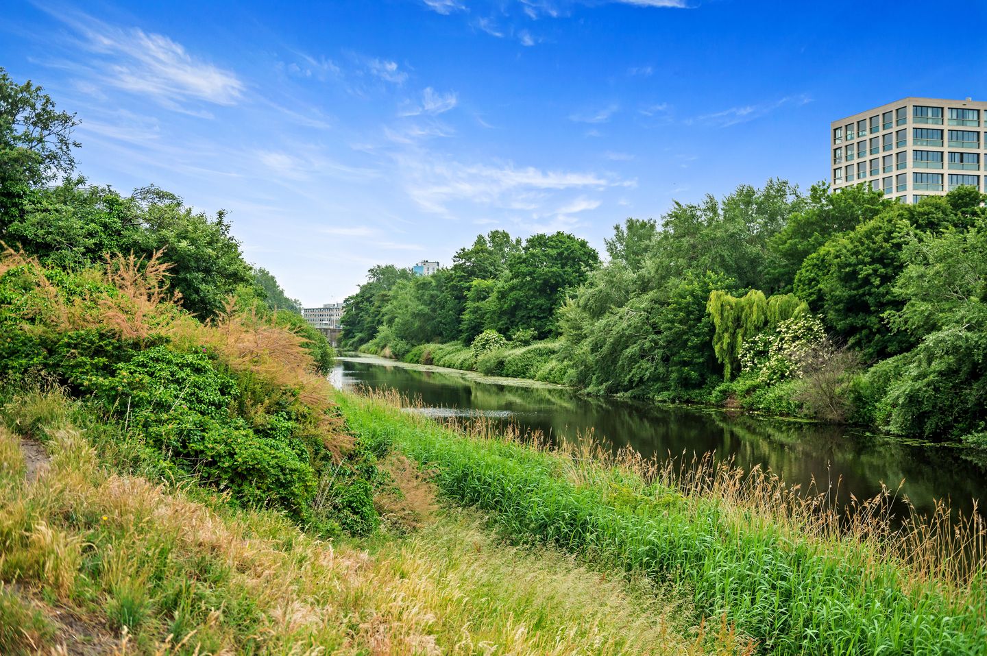 Foto 40 van Van Lumeystraat 9