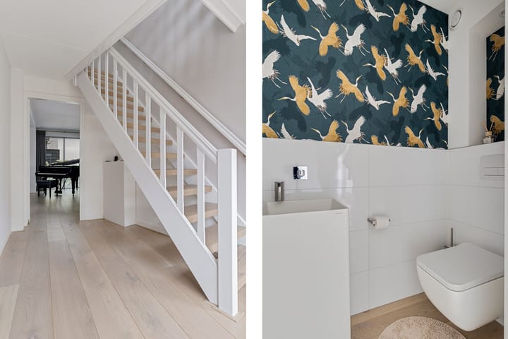 Photo 7 of Herfst 61