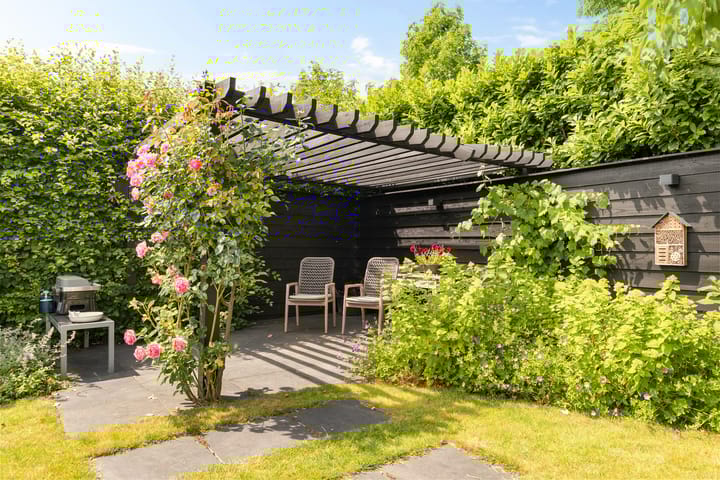 Photo 36 of Herfst 61