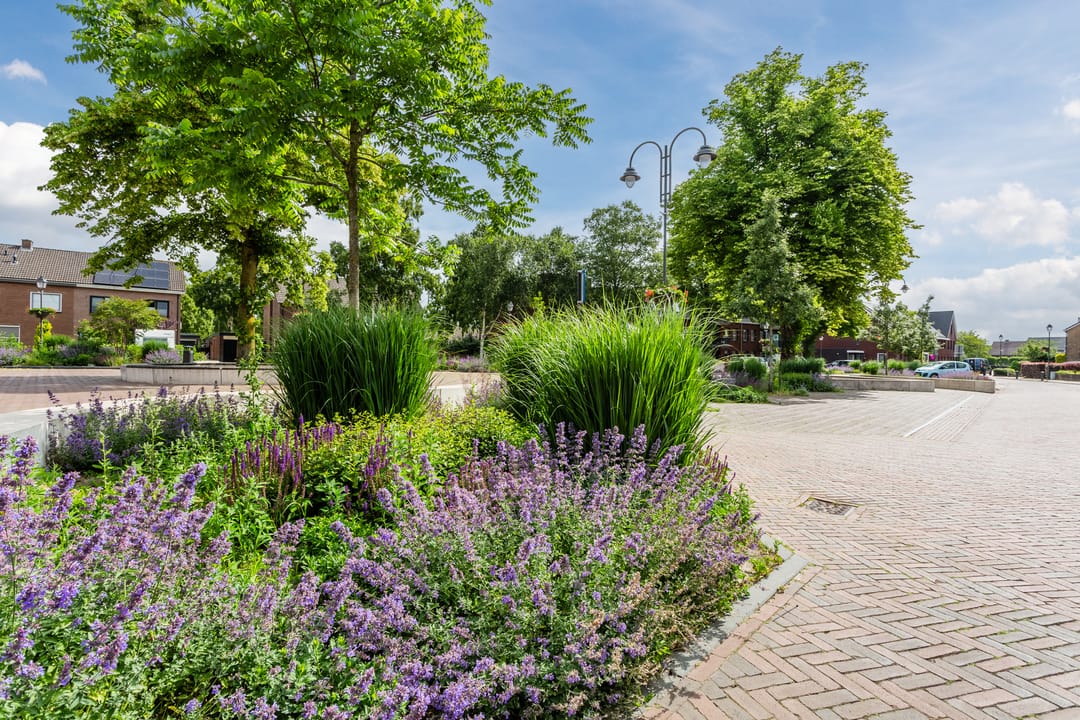 Foto 28 van Van Noortstraat 11