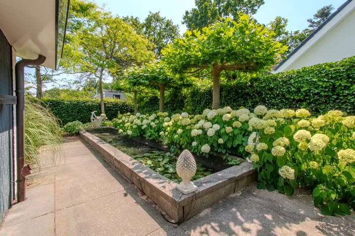 Foto 35 van Reigerslaan 7