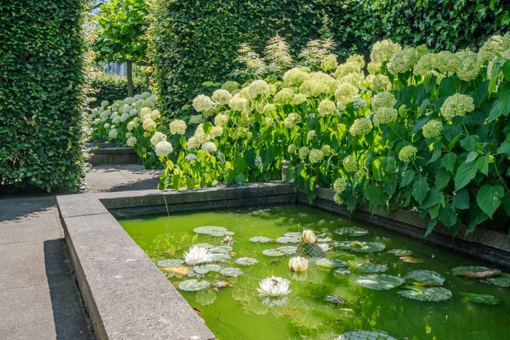 Foto 36 van Reigerslaan 7