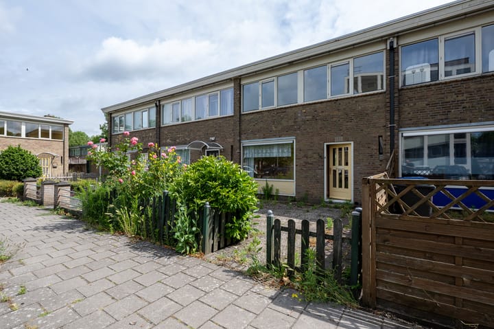 Zonnedauwhoek 4
