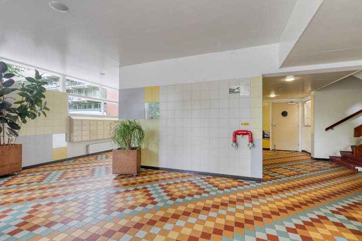 Foto 5 van Amerbos 372