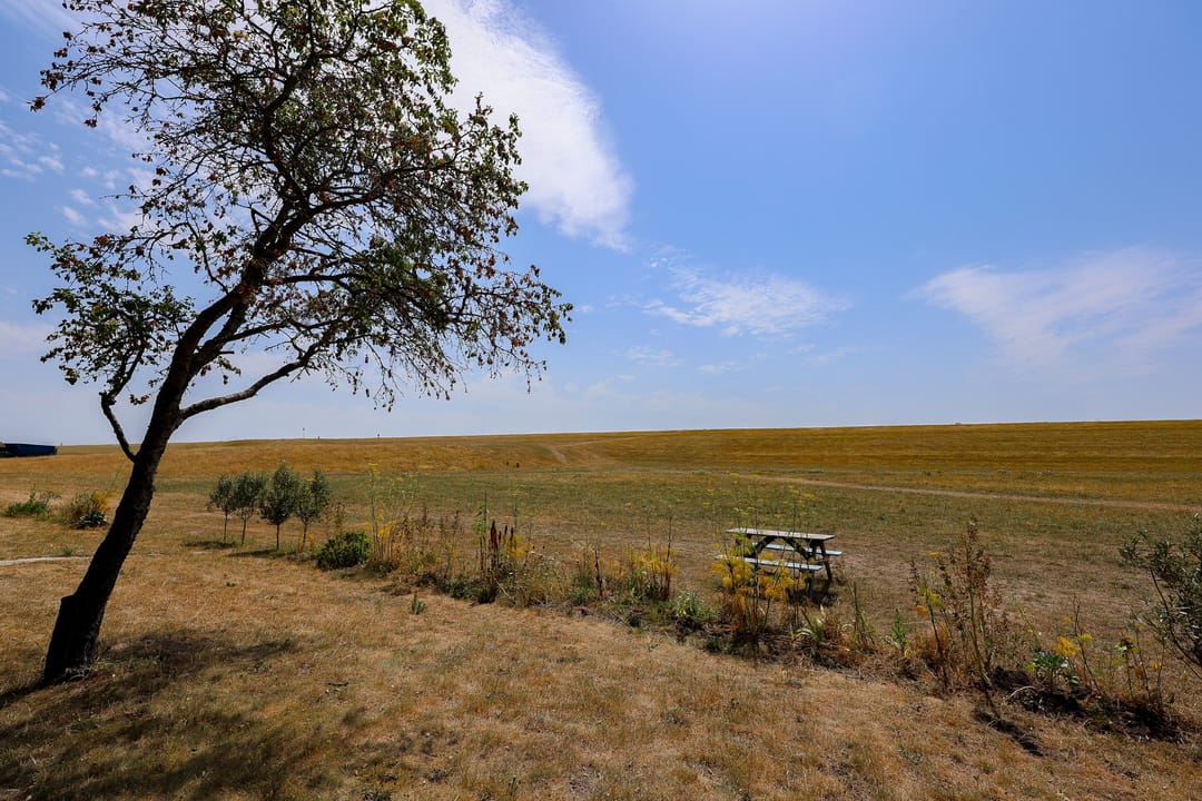 Foto 41 van Dijkmeent 66