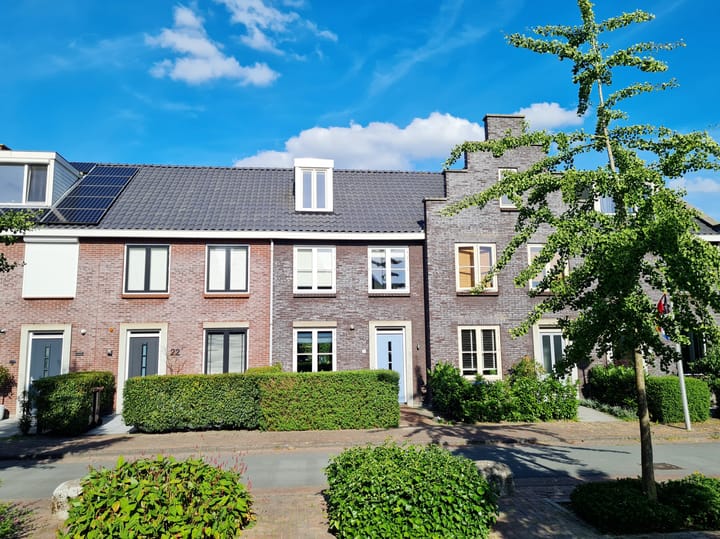 Foto 2 van Kaapse Bossen 24