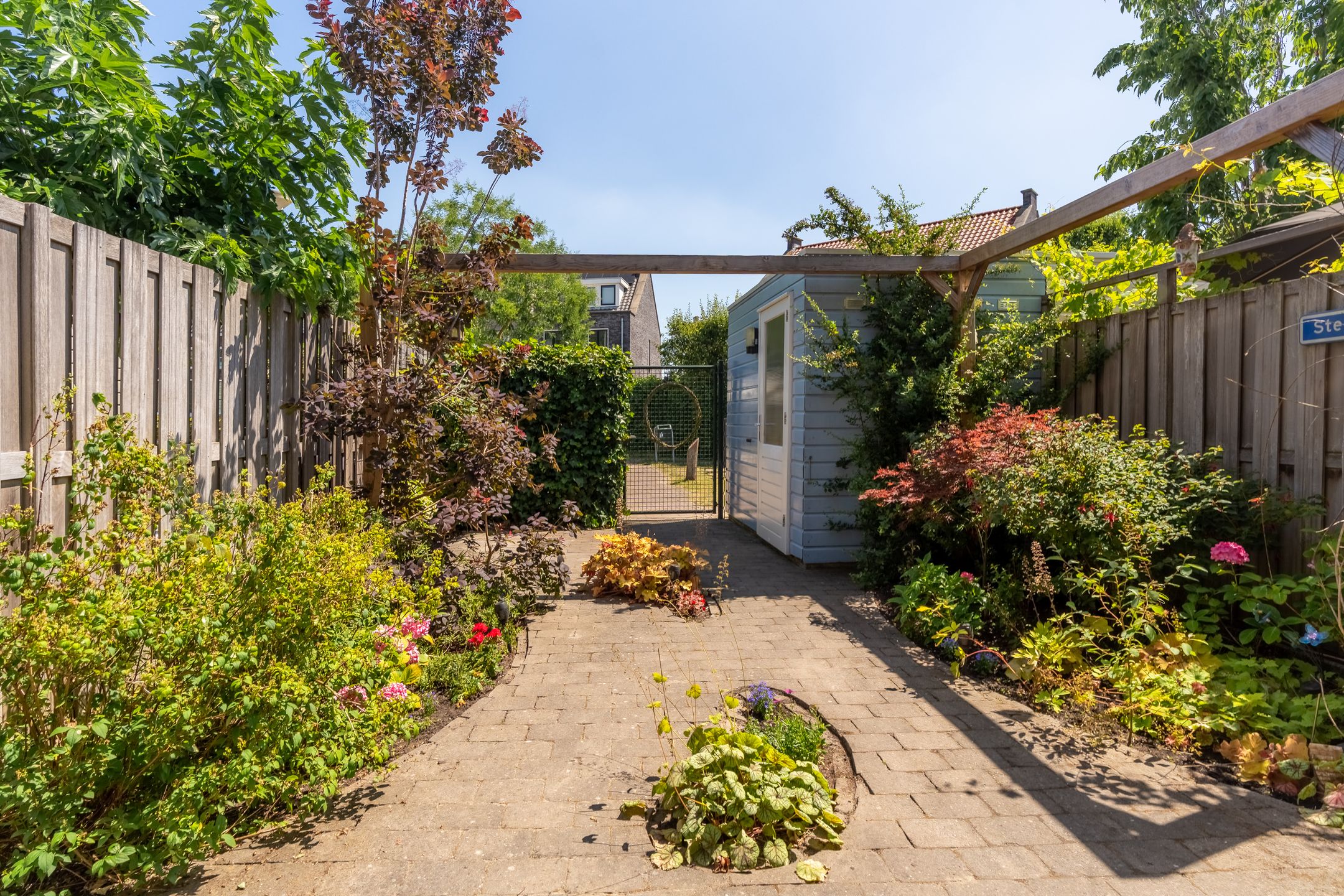 Foto 15 van Kaapse Bossen 24