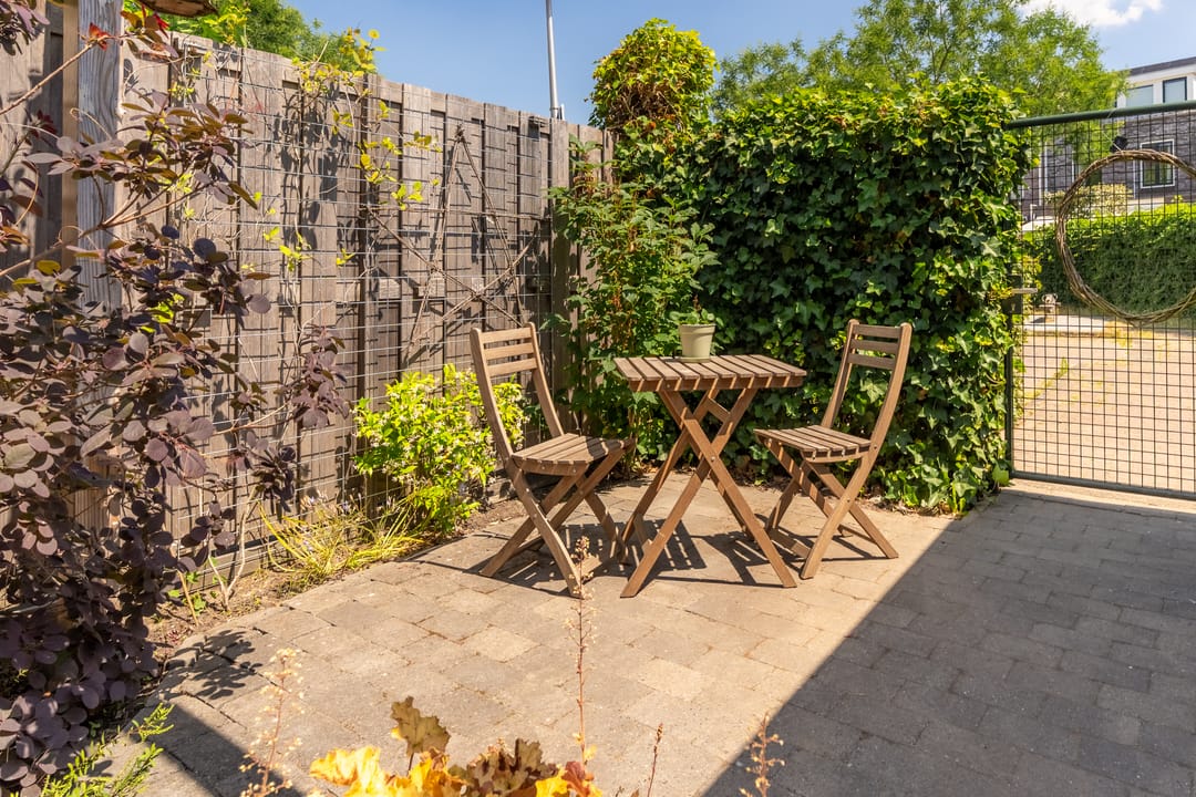 Foto 16 van Kaapse Bossen 24