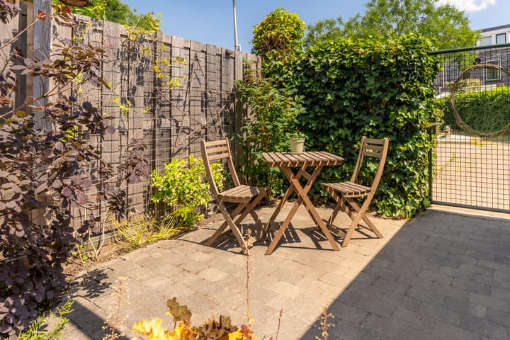 Foto 16 van Kaapse Bossen 24