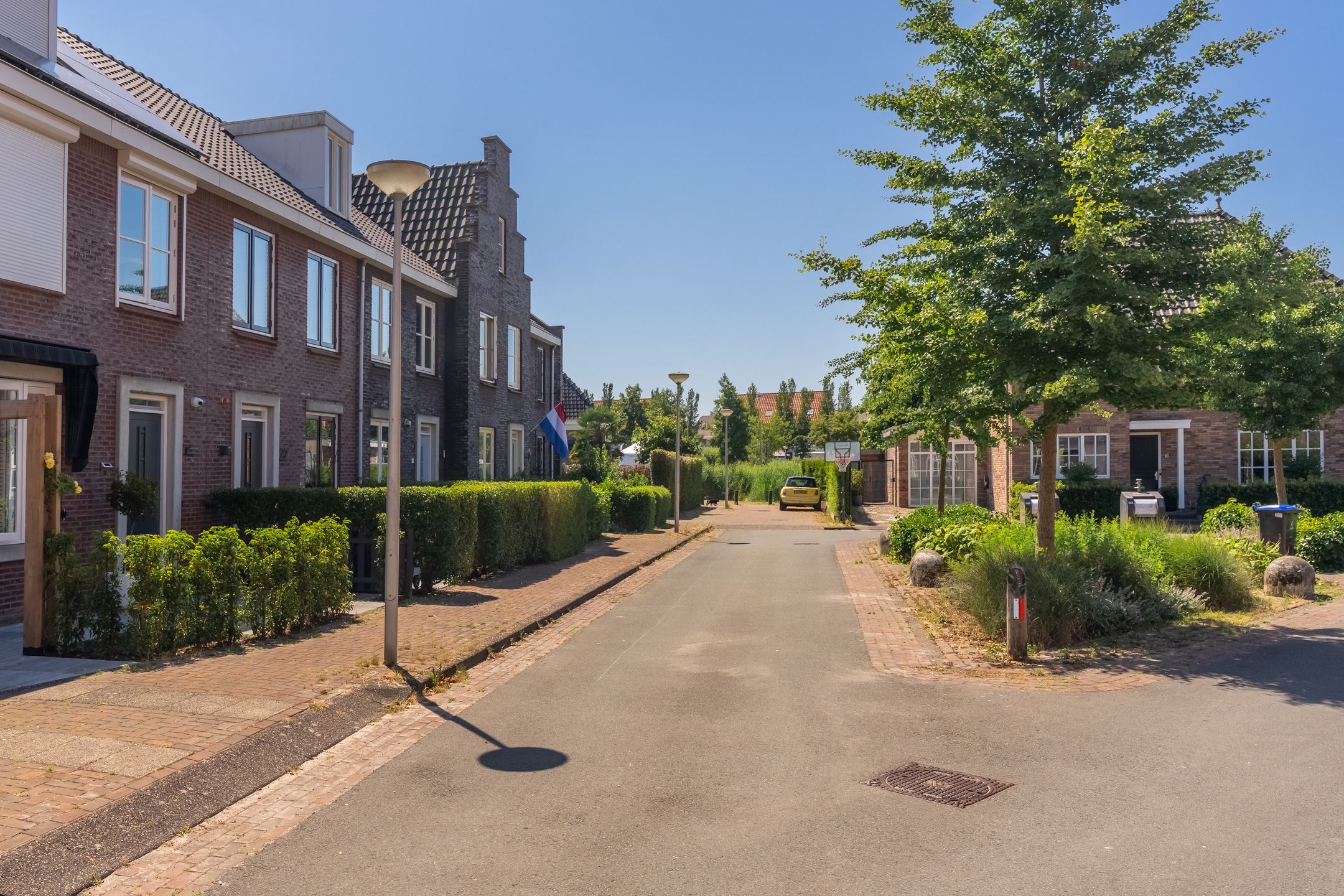 Foto 36 van Kaapse Bossen 24