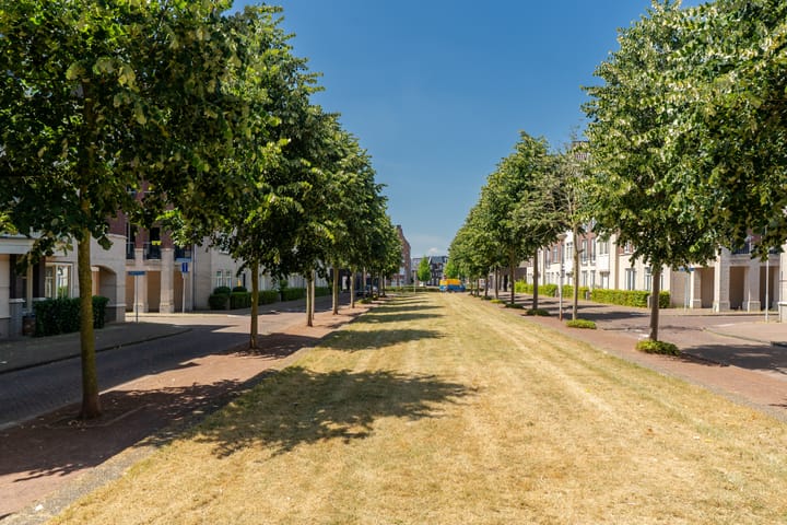 Foto 40 van Kaapse Bossen 24