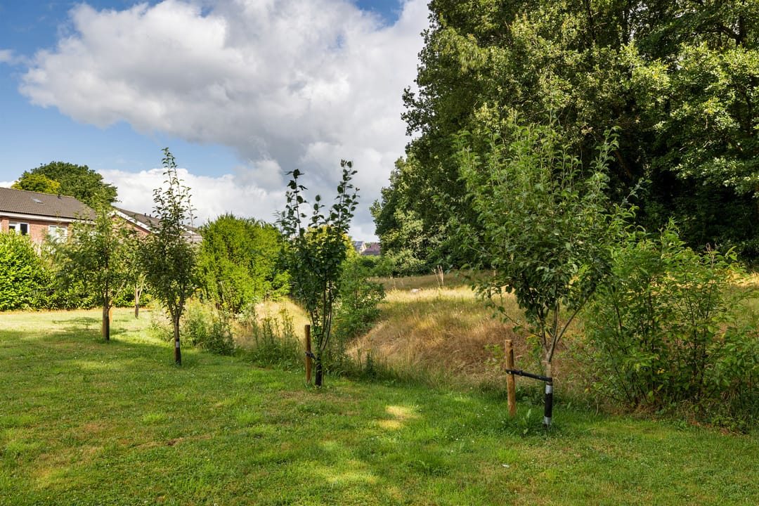 Photo 28 of Zandpolstraat 2