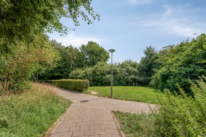 Foto 55 van Walserij 6