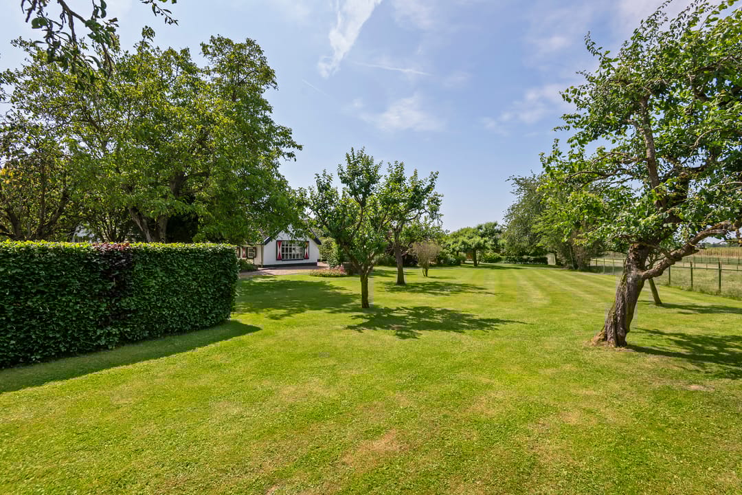 Foto 43 van Rijnstraat 41