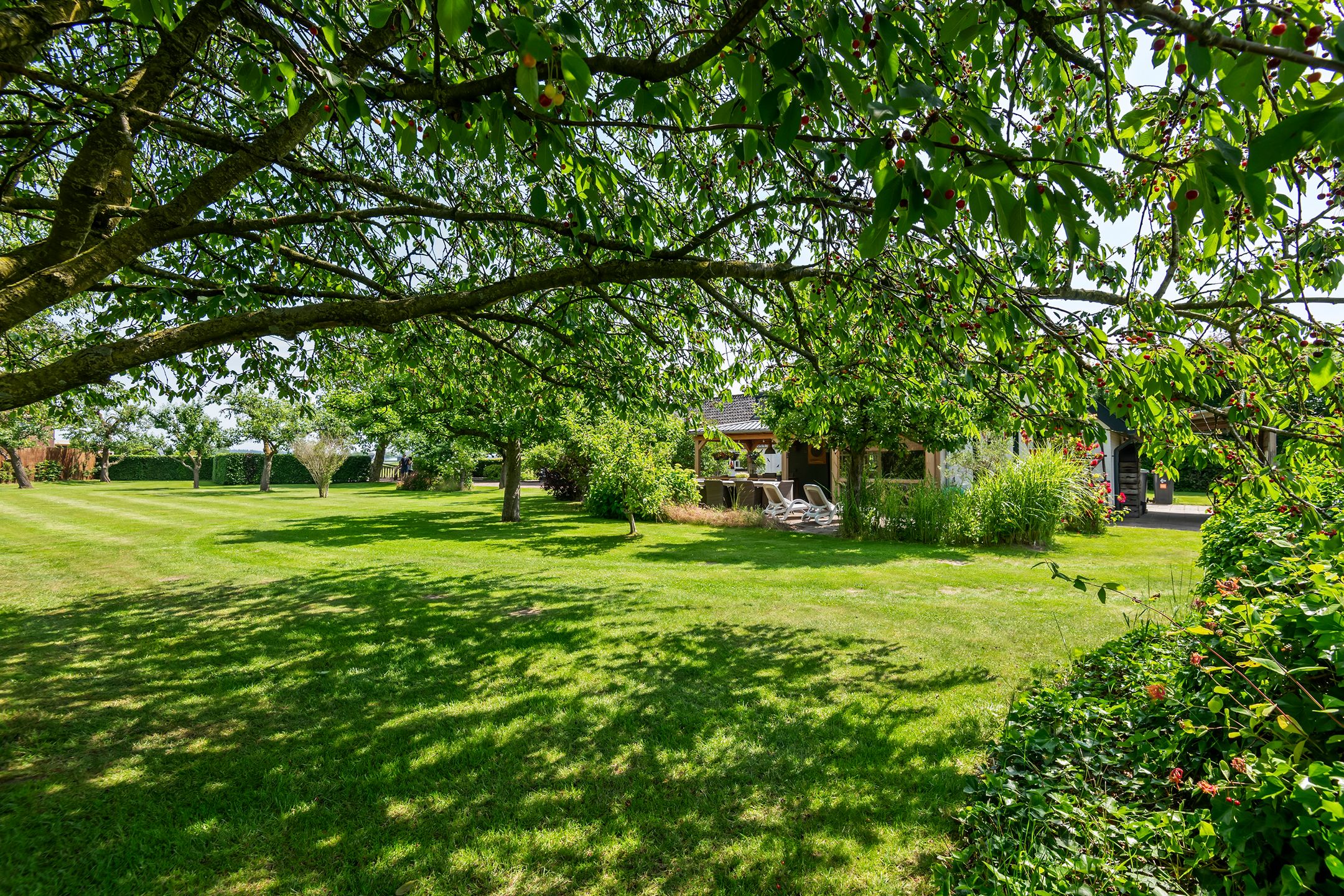 Foto 57 van Rijnstraat 41