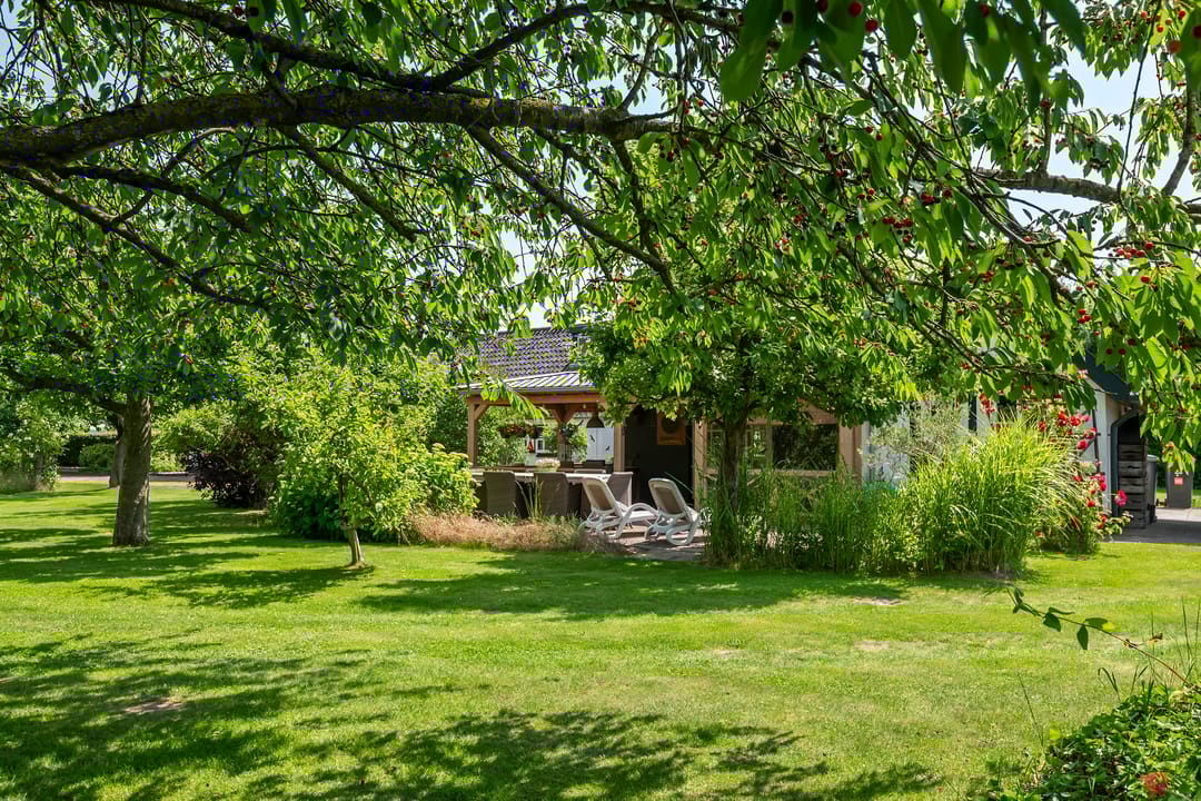 Foto 58 van Rijnstraat 41