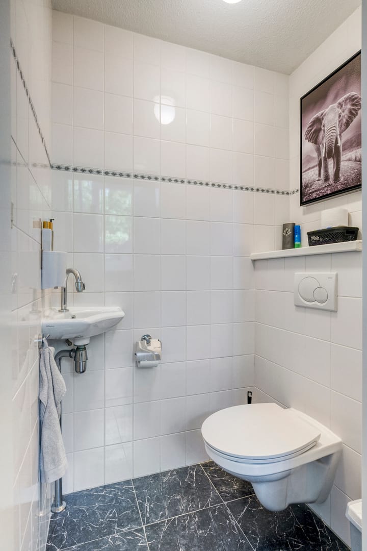 Foto 17 van Oostdijk 275-E