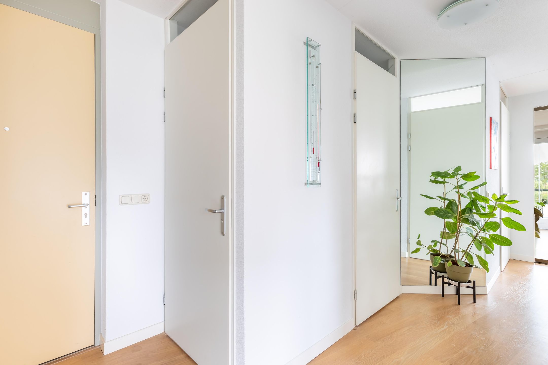 Foto 24 van Dagpauwoog 37