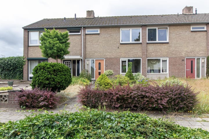 undefined main image