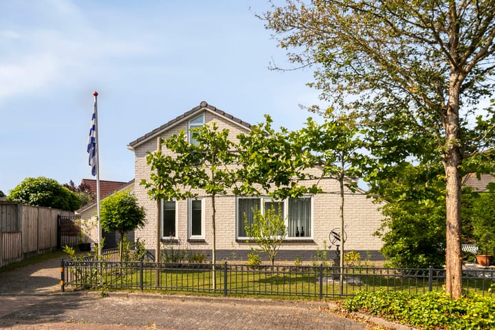 Foto 2 van Vlaamse Gaai 3