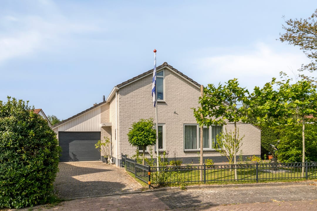 Foto 1 van Vlaamse Gaai 3