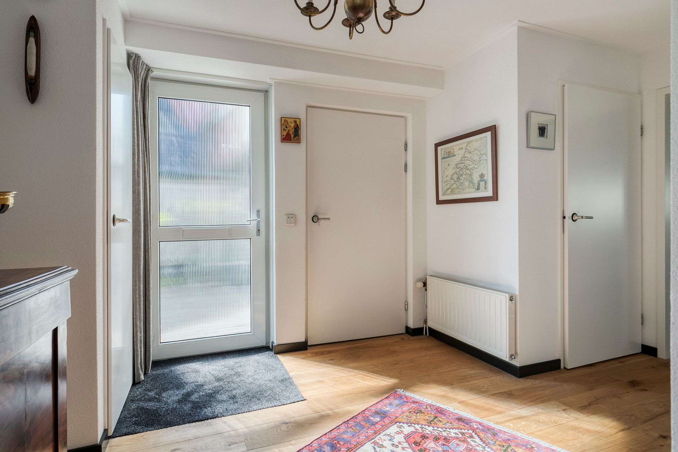 Foto 3 van Vlaamse Gaai 3