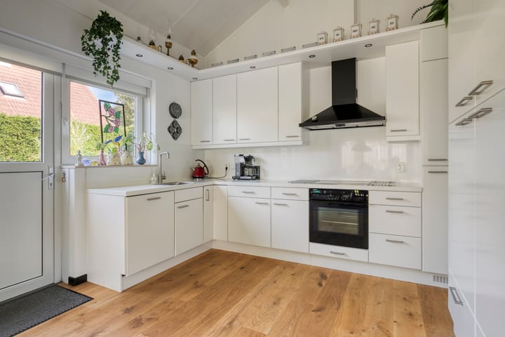 Foto 8 van Vlaamse Gaai 3