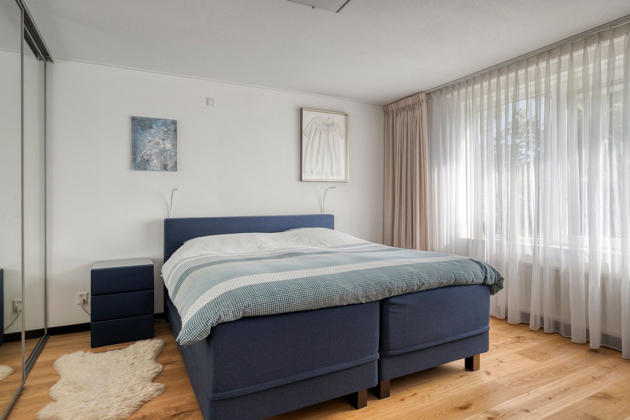 Foto 9 van Vlaamse Gaai 3