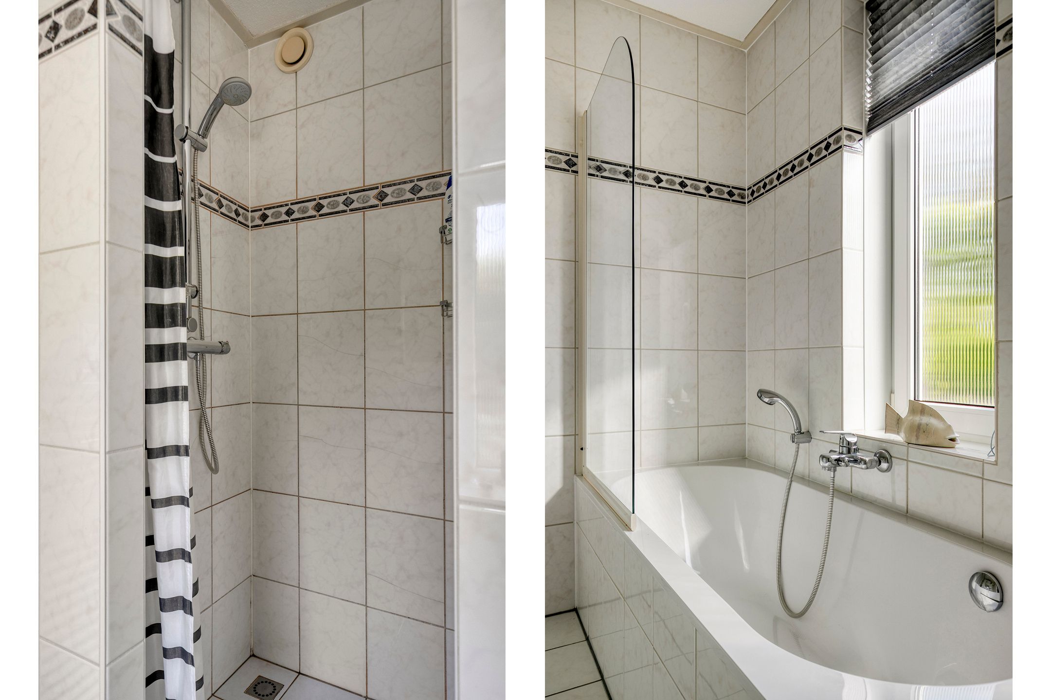 Foto 12 van Vlaamse Gaai 3