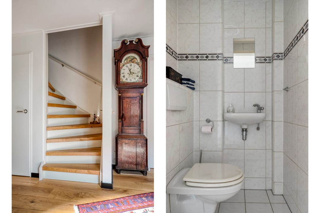 Foto 13 van Vlaamse Gaai 3