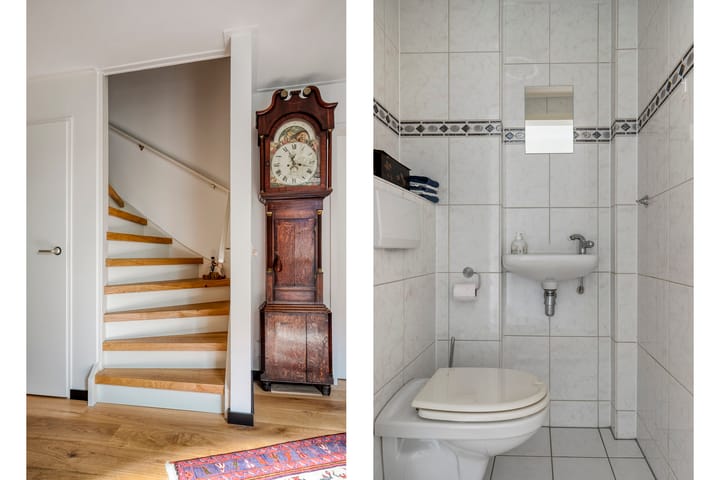 Foto 13 van Vlaamse Gaai 3