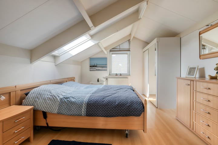 Foto 14 van Vlaamse Gaai 3