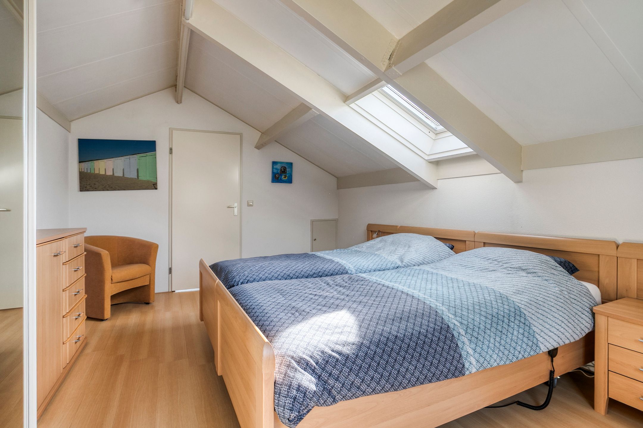 Foto 15 van Vlaamse Gaai 3