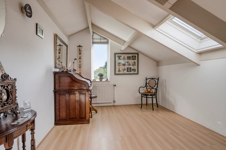 Foto 16 van Vlaamse Gaai 3