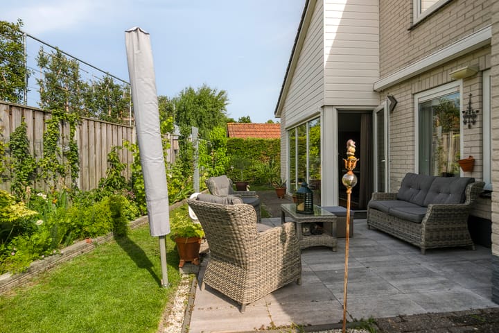 Foto 20 van Vlaamse Gaai 3