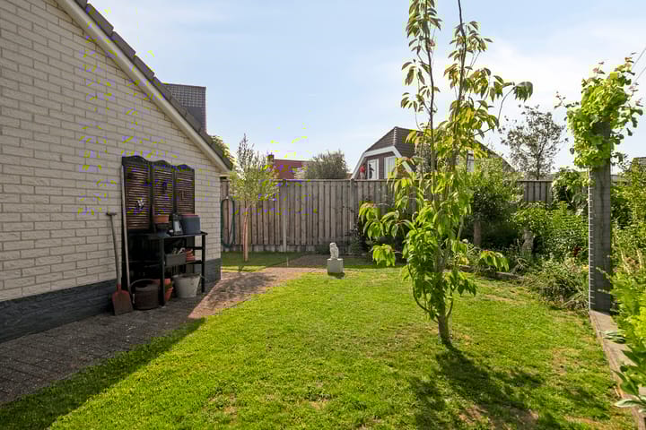 Foto 21 van Vlaamse Gaai 3