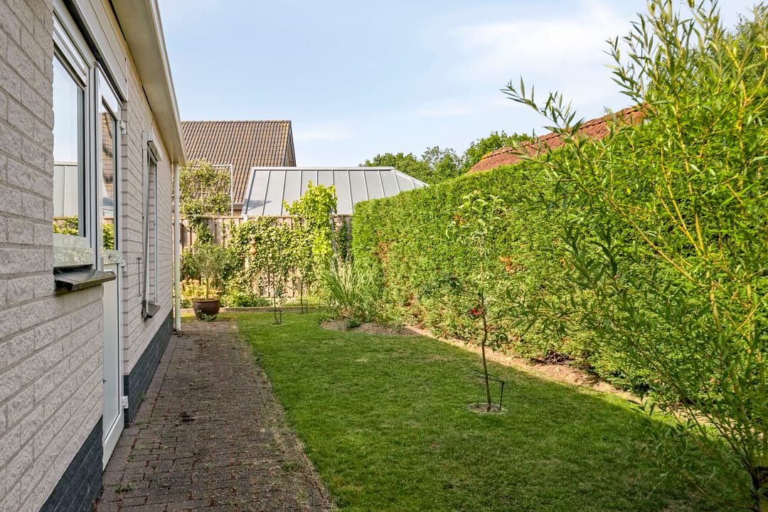 Foto 22 van Vlaamse Gaai 3